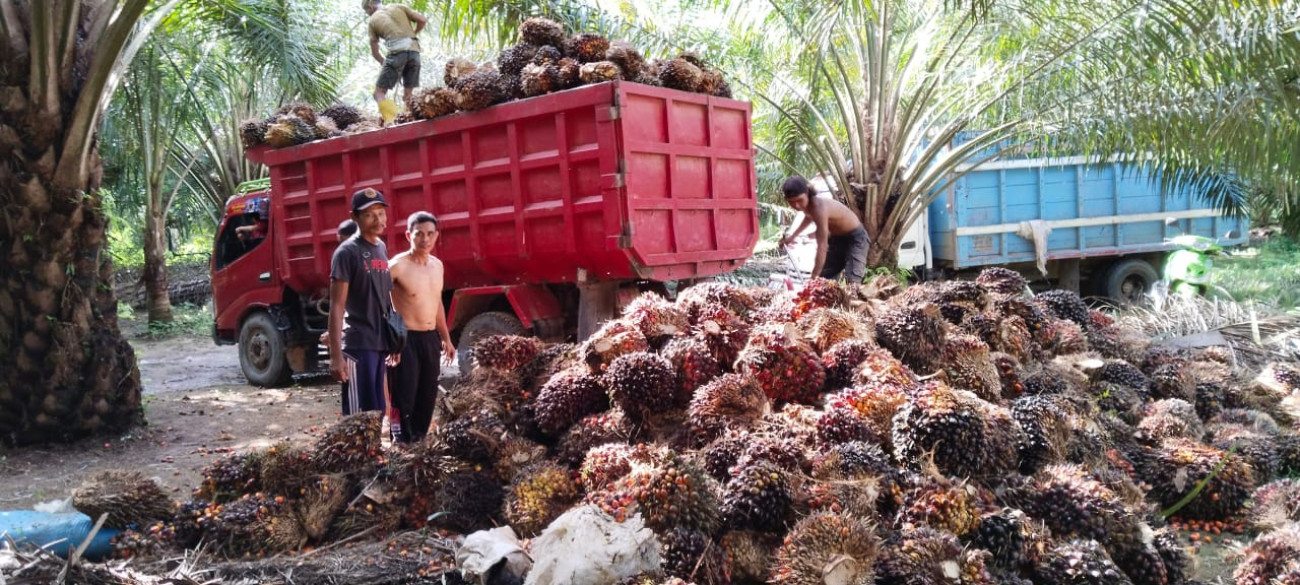 PERAN KELOMPOK TANI DALAM MEWUJUDKAN KEMANDIRIAN PETANI