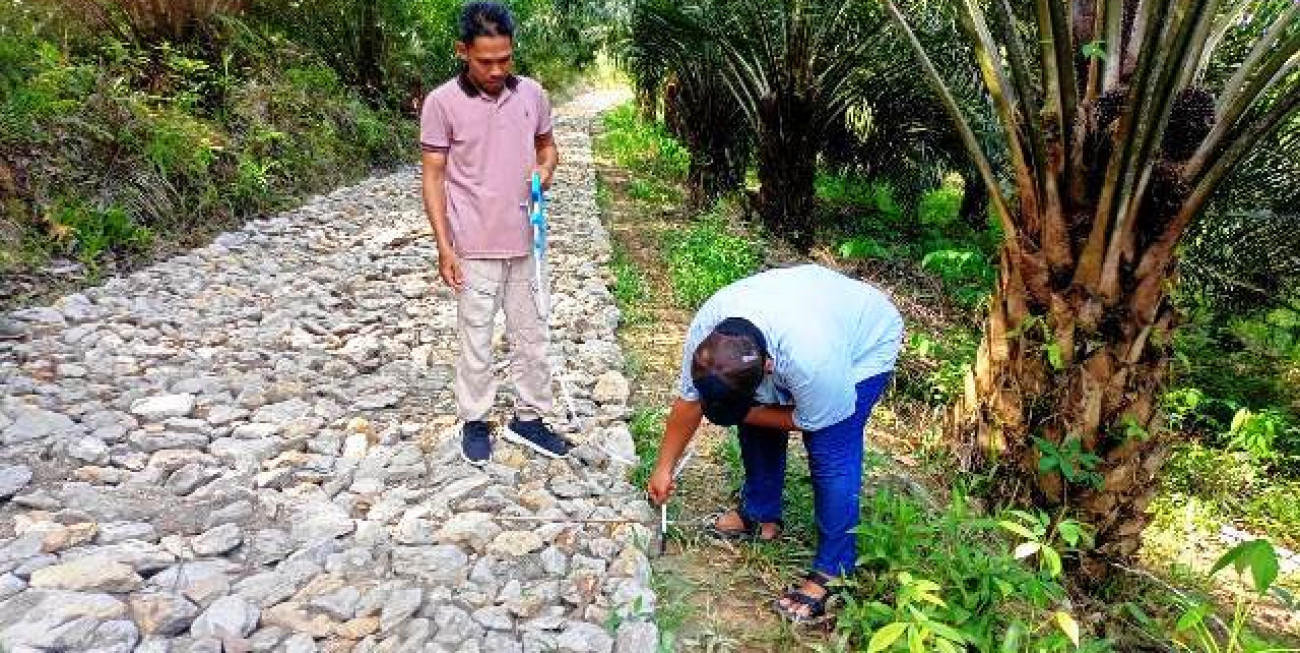 Disbun Tinjau Pembangunan Jalan Usaha Tani di Desa Salo Cela Muara Badak