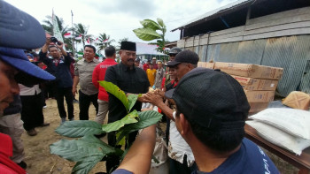 Bupati Kukar serahkan bantuan bibit kopi dan pupuk kepada kelompok tani di wilayah Kec. Marangkayu
