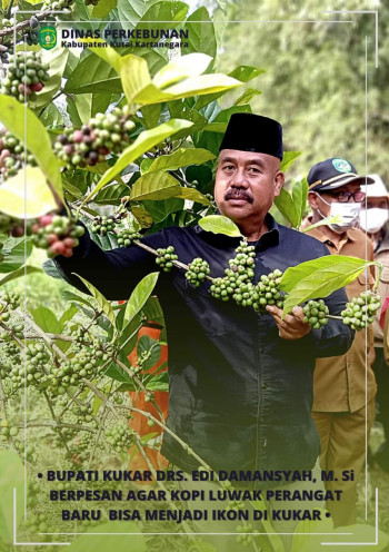 Silaturrahmi bersama Bupati Kukar di Kampung Kopi Luwak Kec. Marang Kayu 