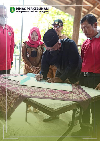 Silaturrahmi bersama Bupati Kukar di Kampung Kopi Luwak Kec. Marang Kayu 