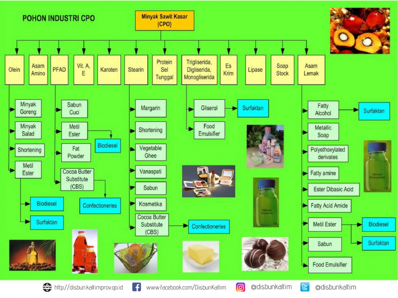 Pohon Industri Crude Palm Oil (CPO)