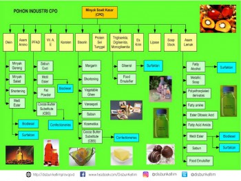 Pohon Industri Crude Palm Oil (CPO)
