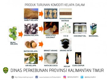 Produk Turunan Komoditi Kelapa Dalam